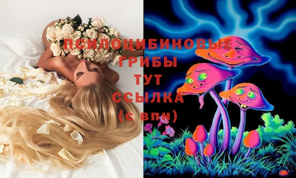 хмурый Нефтекумск