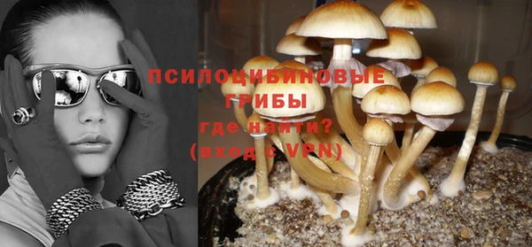 хмурый Нефтекумск