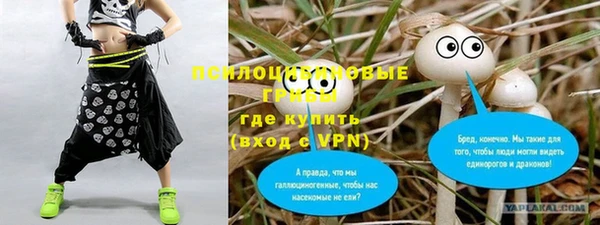 хмурый Нефтекумск